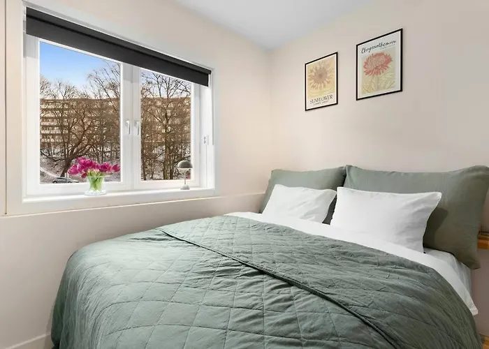 Demims -- Cozy, & Stylish *