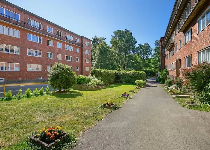 Demims -- Cozy, & Stylish *